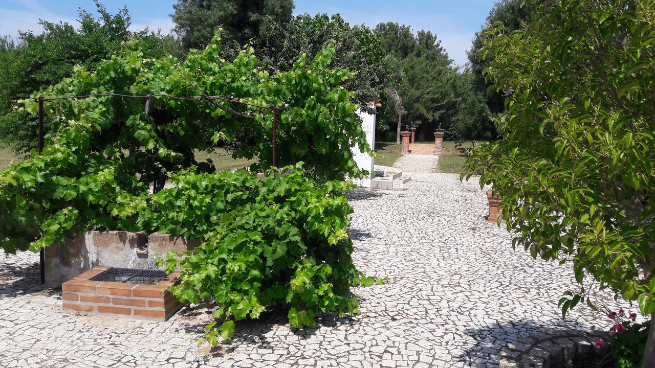 Quinta Da Abrunheira Apartment Vimieiro  Exterior photo